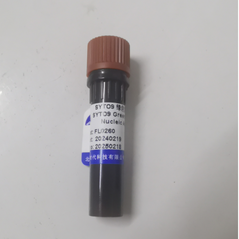 SYTO 9 绿色荧光核酸染料(5 mM in DMSO)       